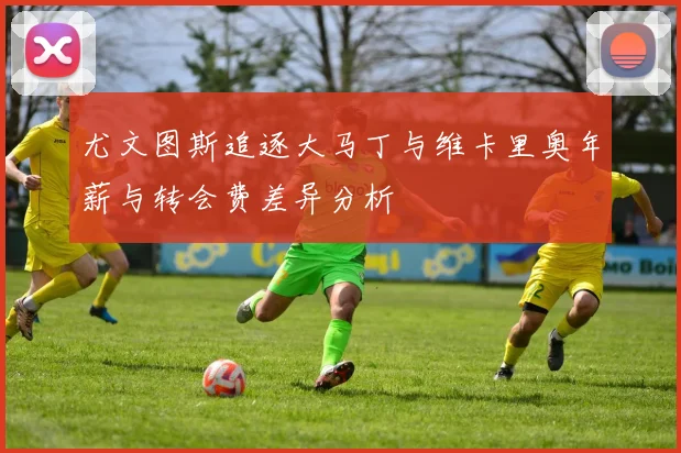 尤文图斯追逐大马丁与维卡里奥年薪与转会费差异分析